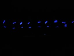 Faschingsauftakt 15.11.14