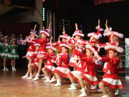 Discofox Fasching 27.01.24